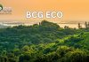 Tập đoàn Bamboo Capital thành lập công ty trồng và chăm sóc rừng BCG Eco
