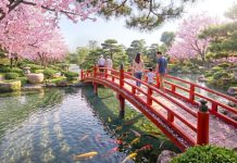 Mảng xanh 200 ha và 21 km kênh sinh thái mang thiên nhiên vào nhịp sống hàng ngày tại Vinhomes Sài Gòn Park