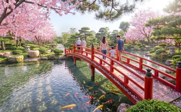 Mảng xanh 200 ha và 21 km kênh sinh thái mang thiên nhiên vào nhịp sống hàng ngày tại Vinhomes Sài Gòn Park